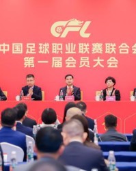 玩法-中足联正式成立！李克敏任理事长马宁等17人为理事