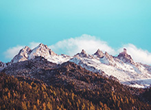 Baccarat-北控两大内线遭遇停赛 季后赛席位悬念还在延续