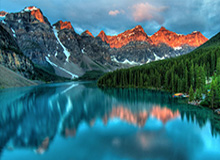 乐鱼官网：在数字海洋中寻找可信的港湾，开启安全畅玩的新体验