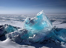 乐鱼官网：在数字海洋中寻找可信的港湾，开启安全畅玩的新体验